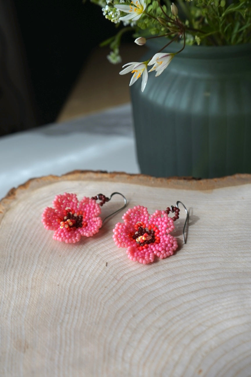Pink hibiscus blooms