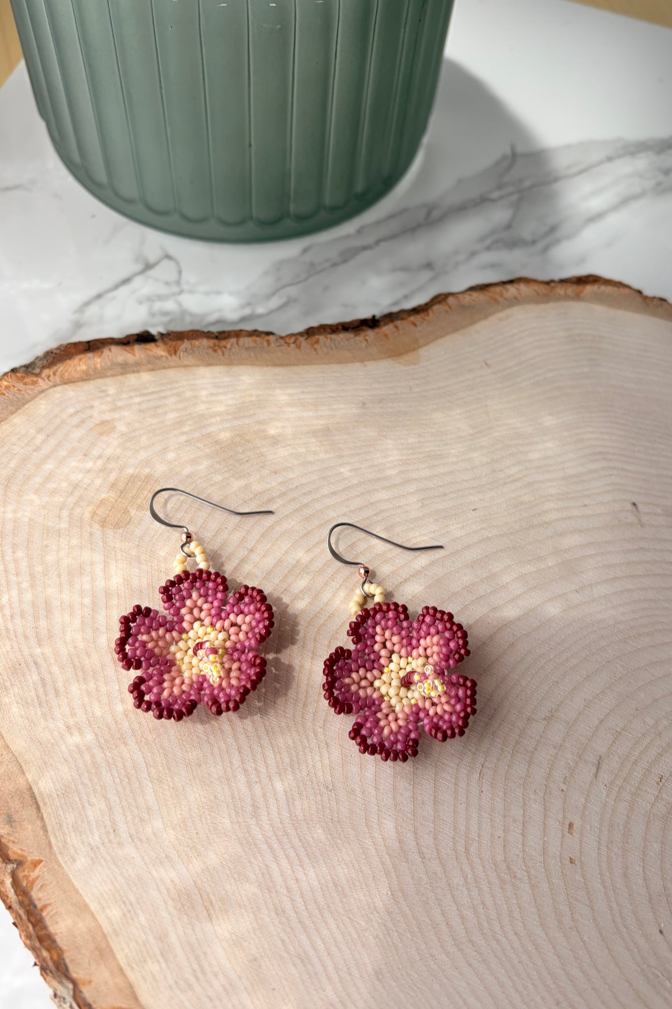 Burgundy and cream hibiscus blooms