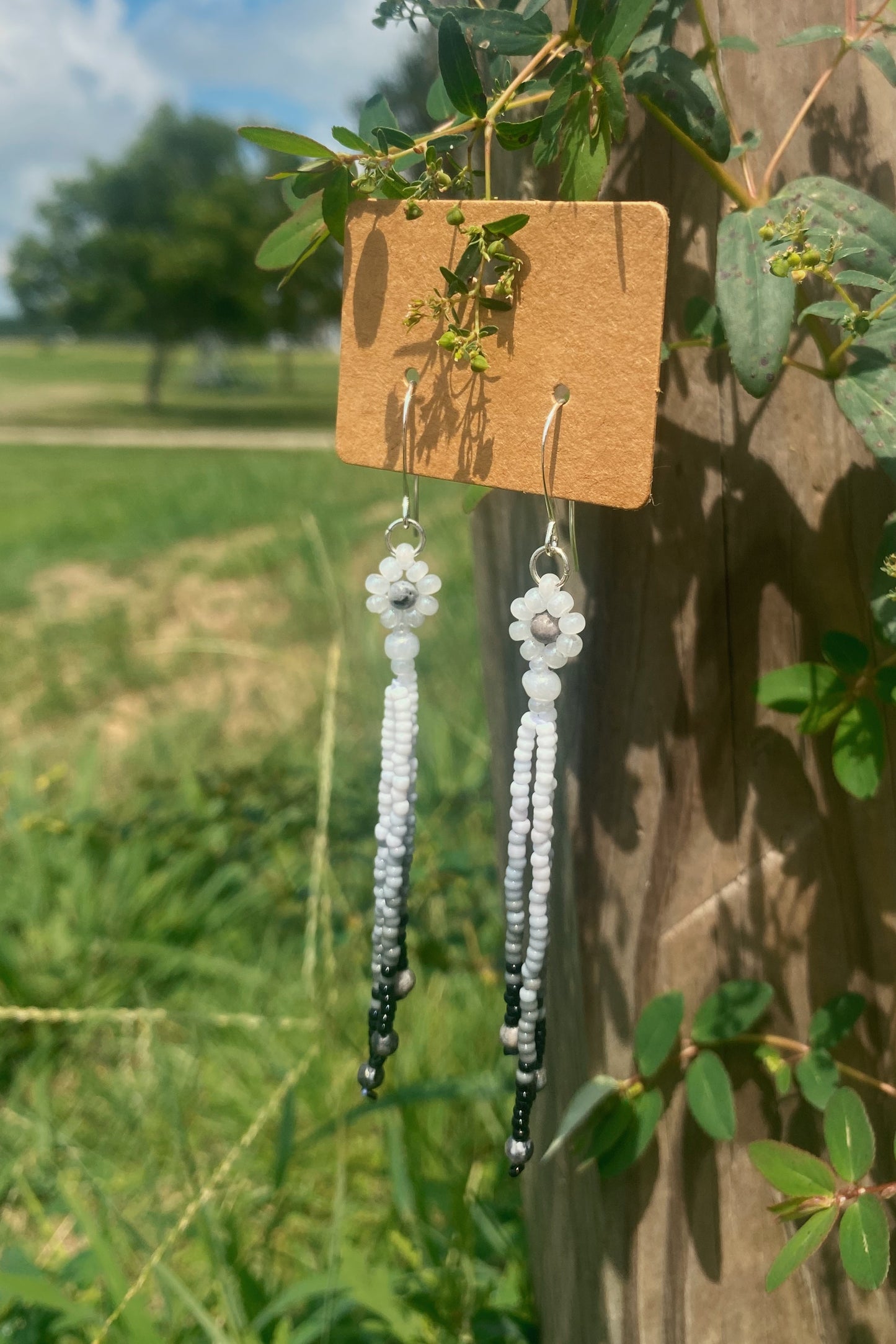 Grayscale daisy drops