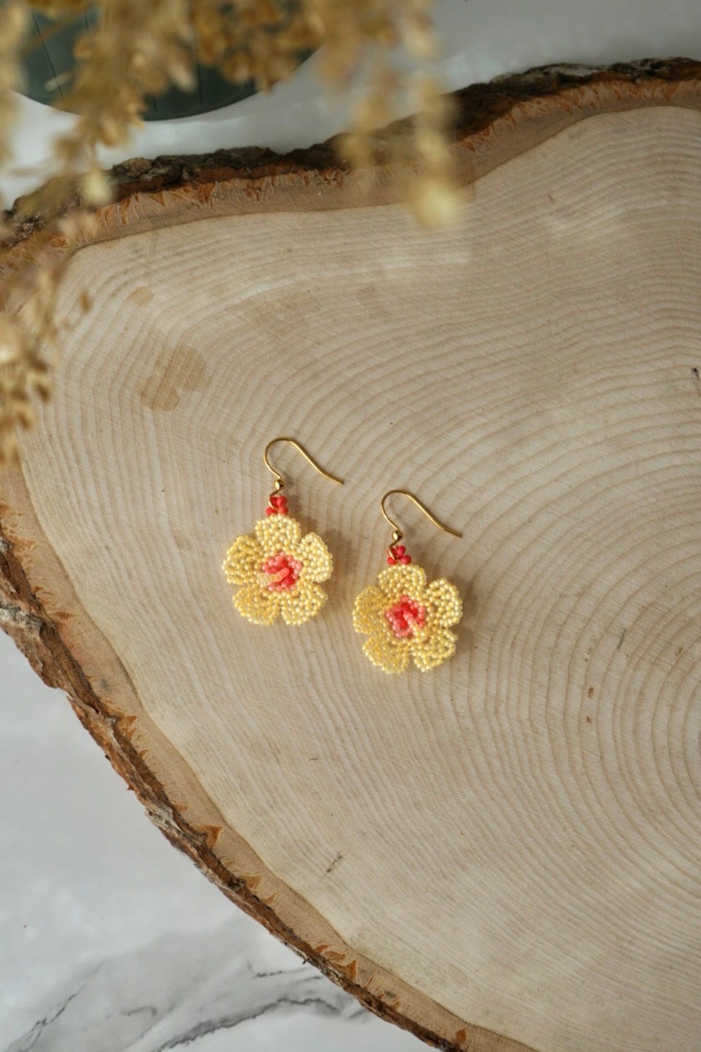Yellow mini hibiscus blooms
