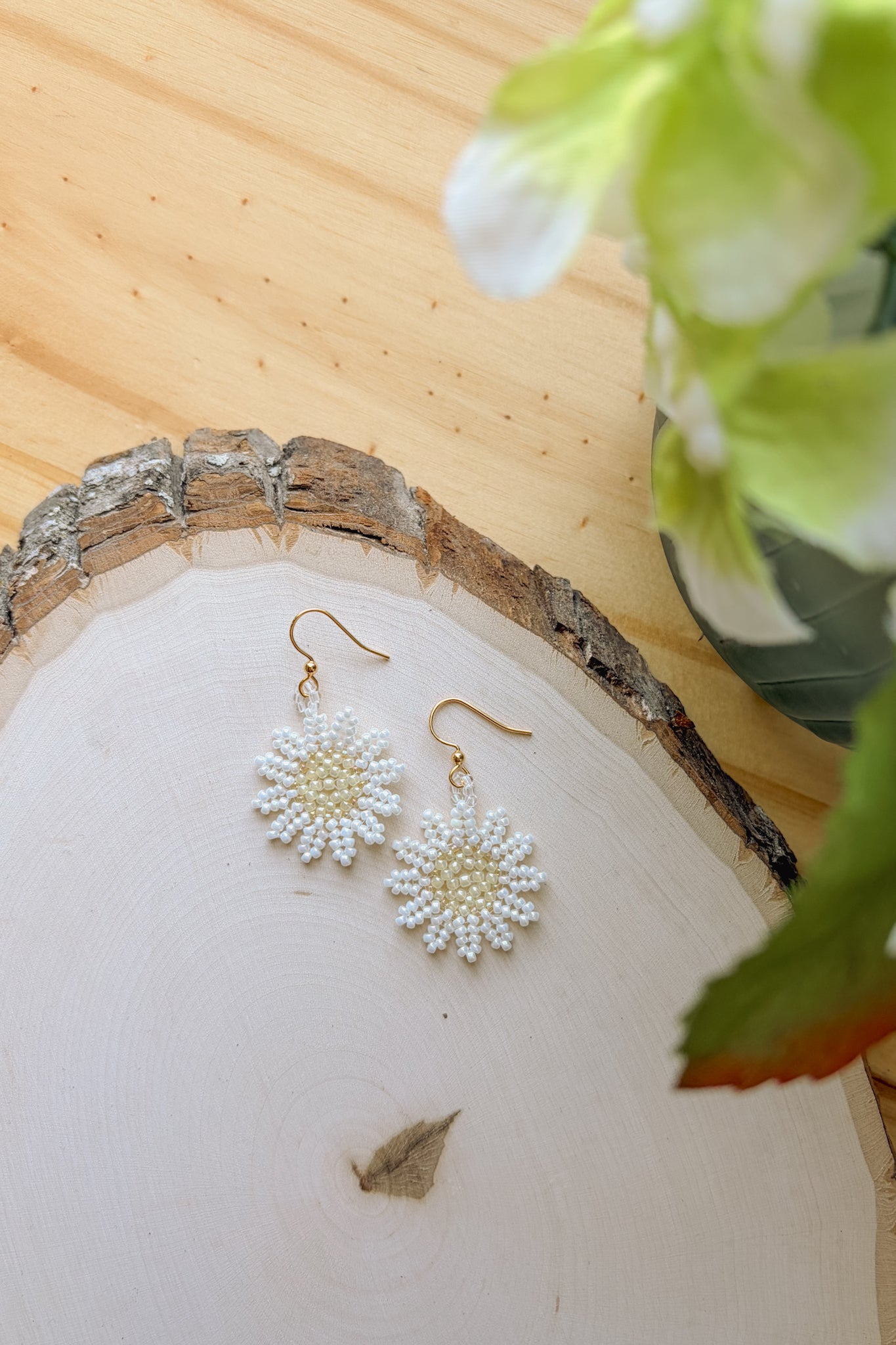 Pearl daisies