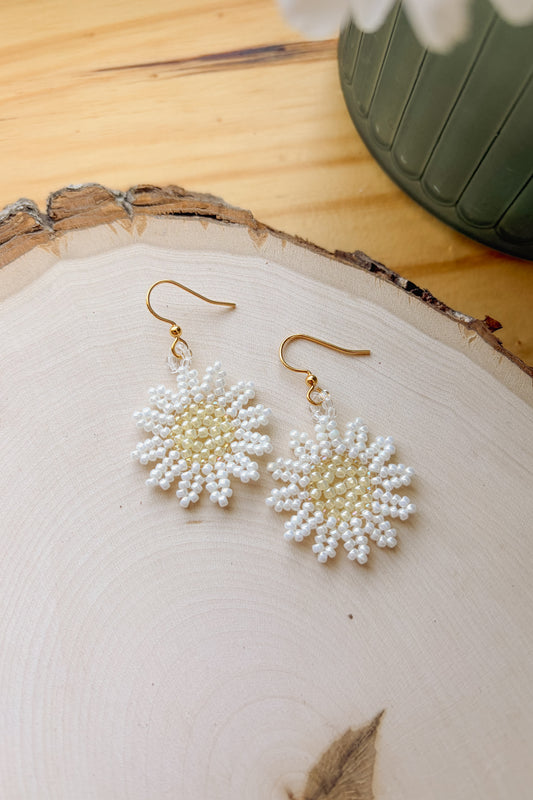 Pearl daisies