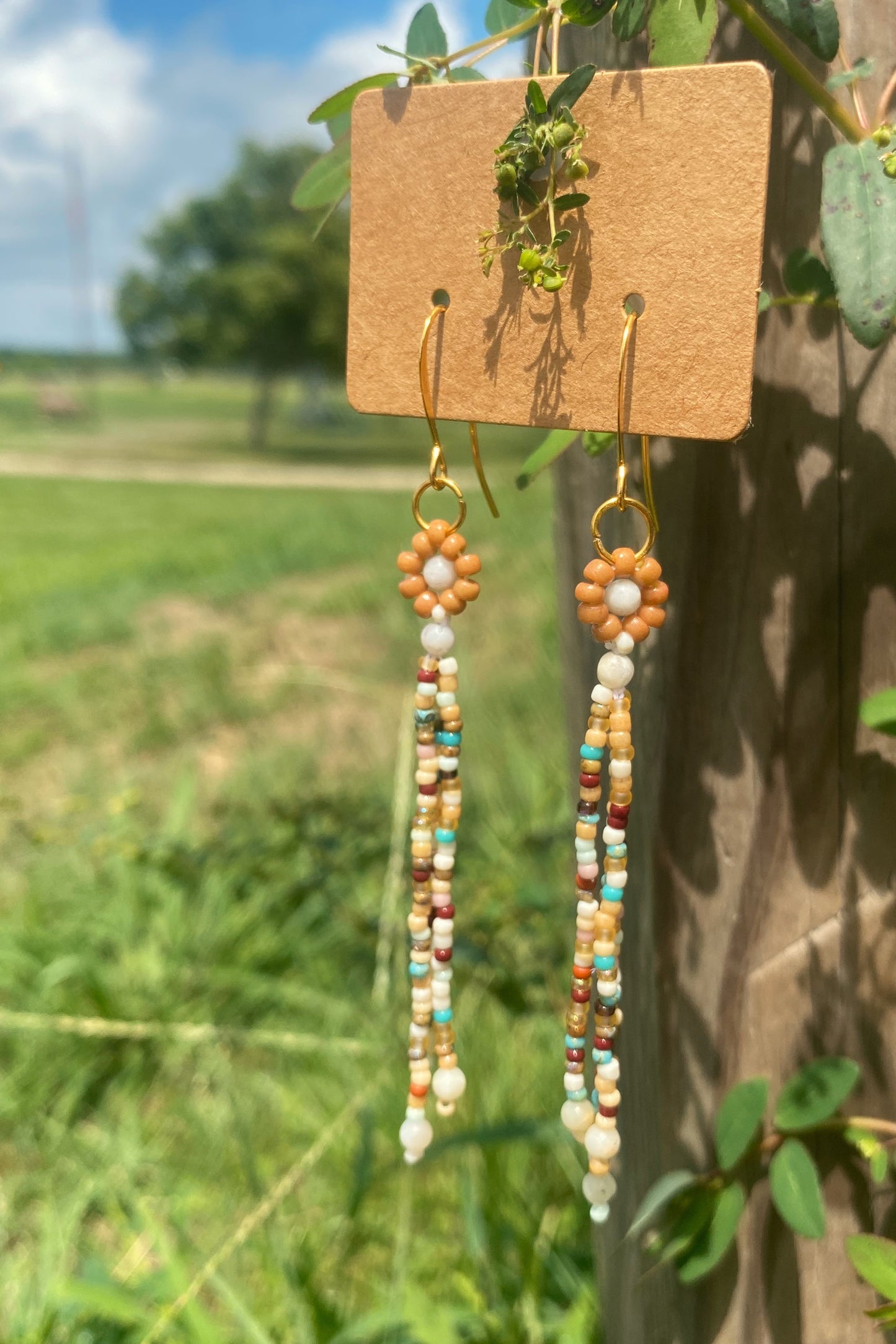 Southwest mix daisy drops