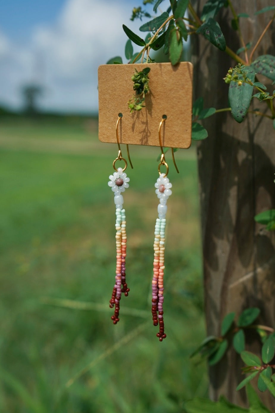 Superbloom daisy drops