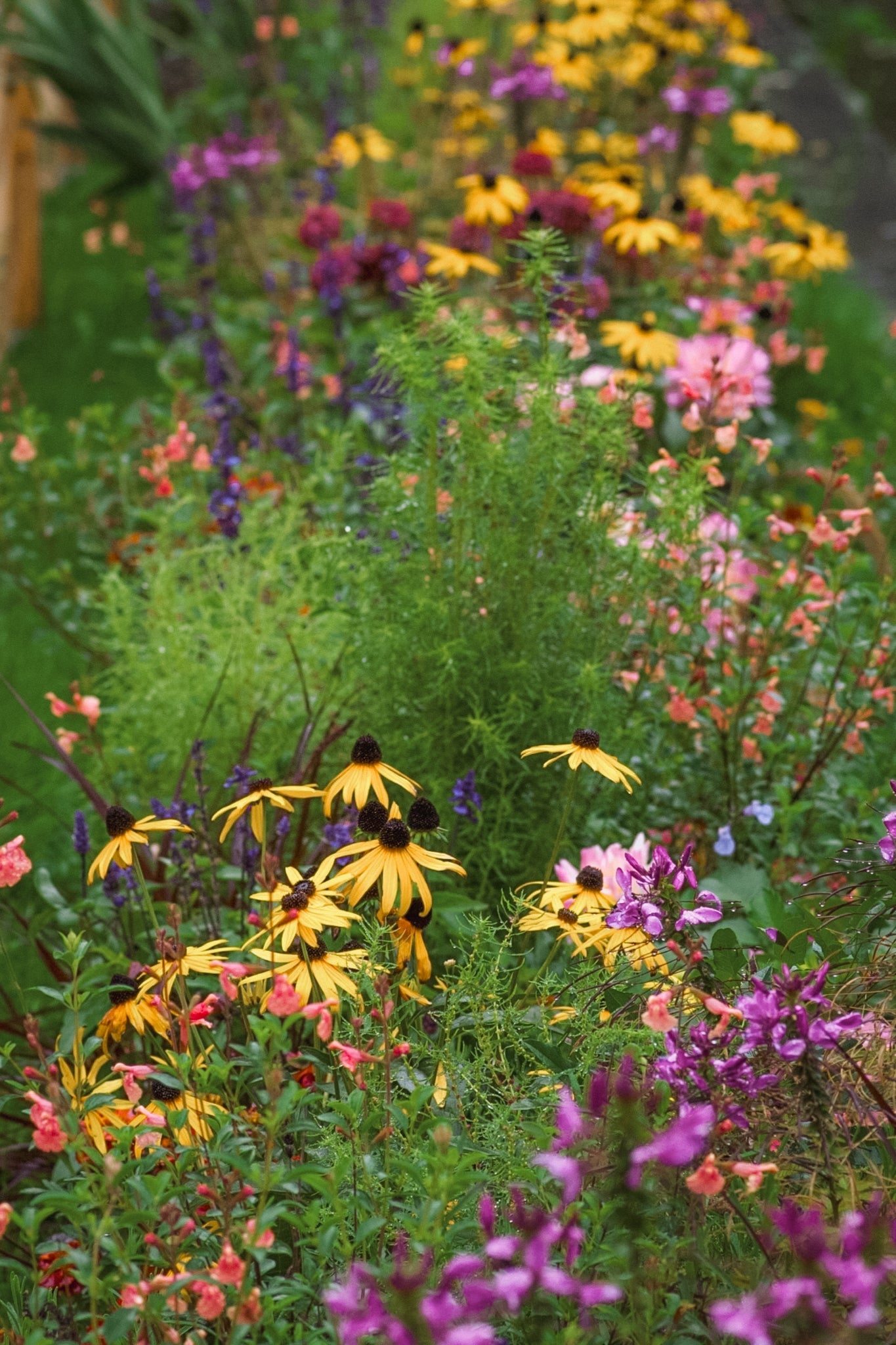 from the garden