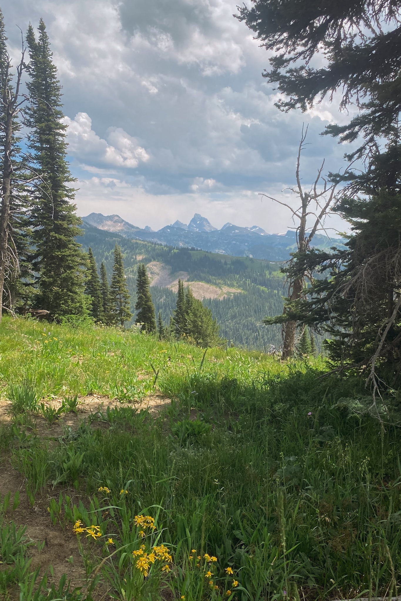 National Parks Series