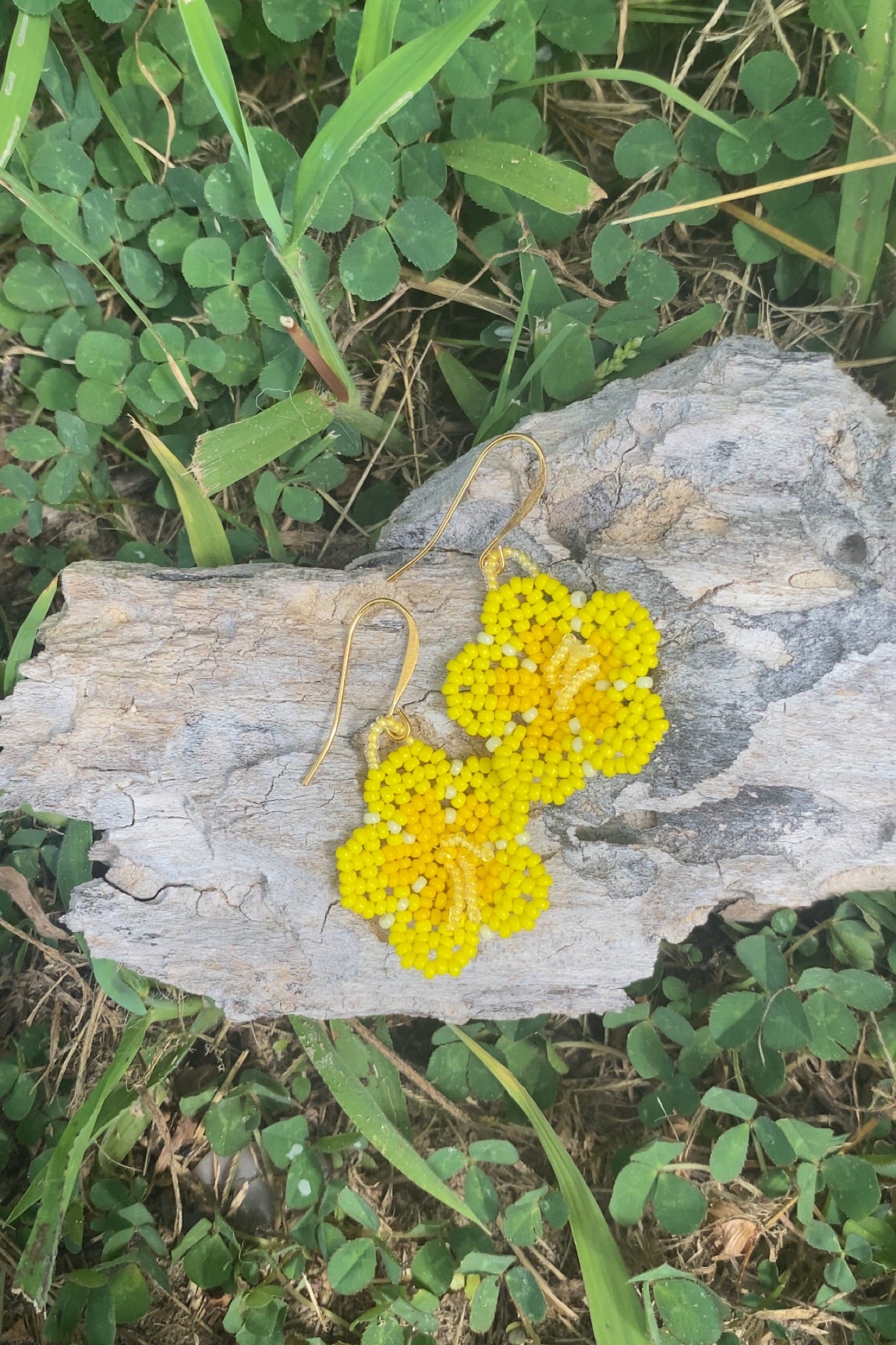 Yellow marsh blooms