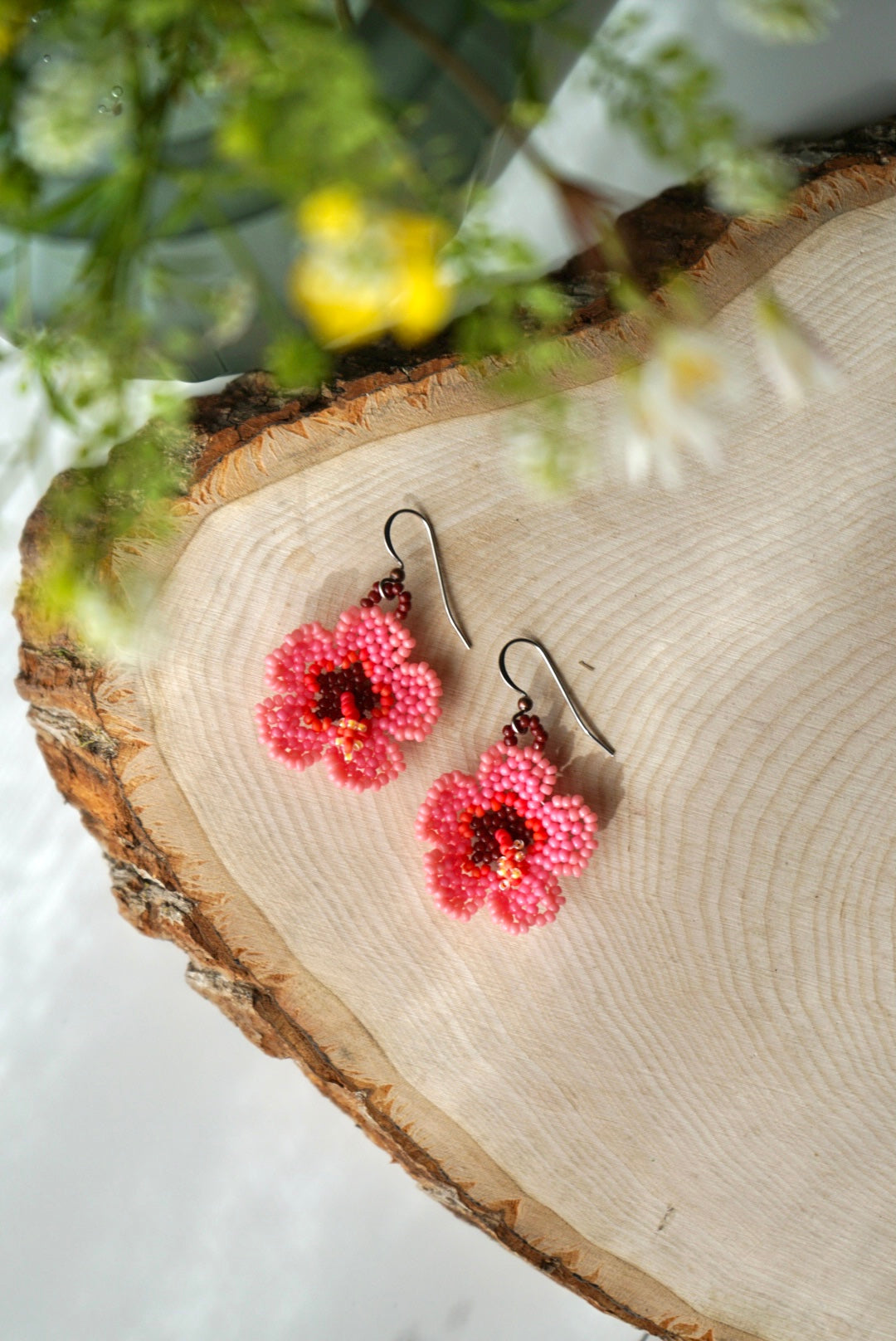 Pink hibiscus blooms