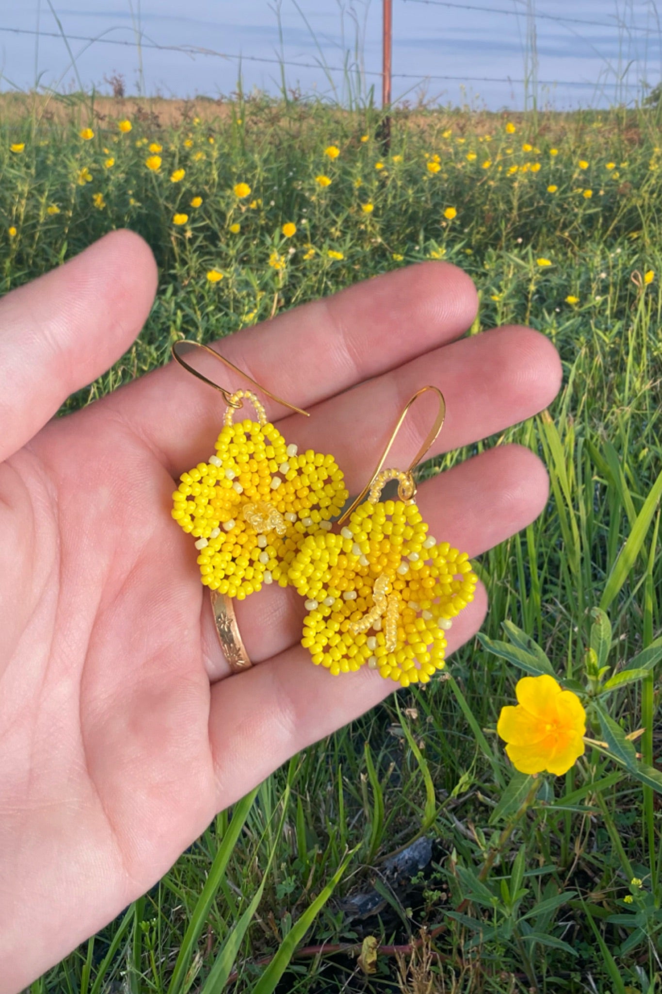 Yellow marsh blooms