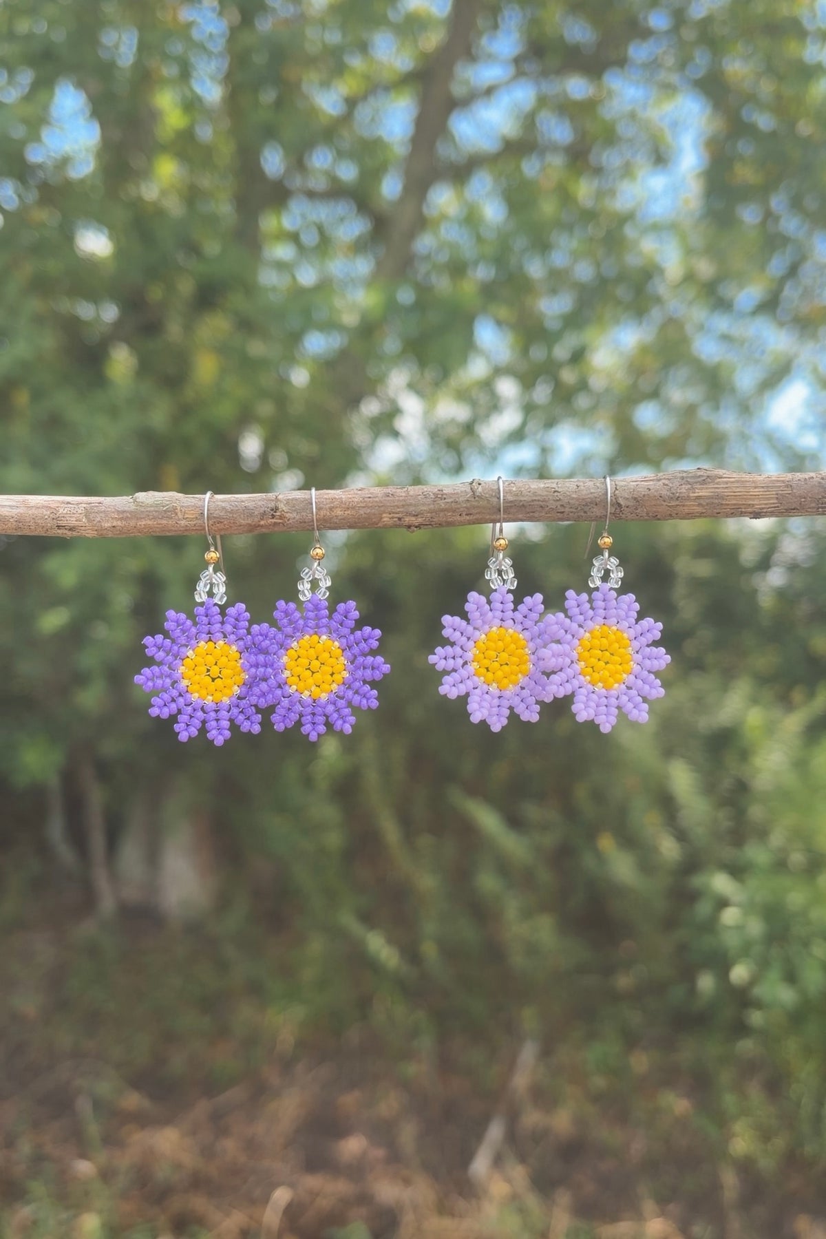 Asters