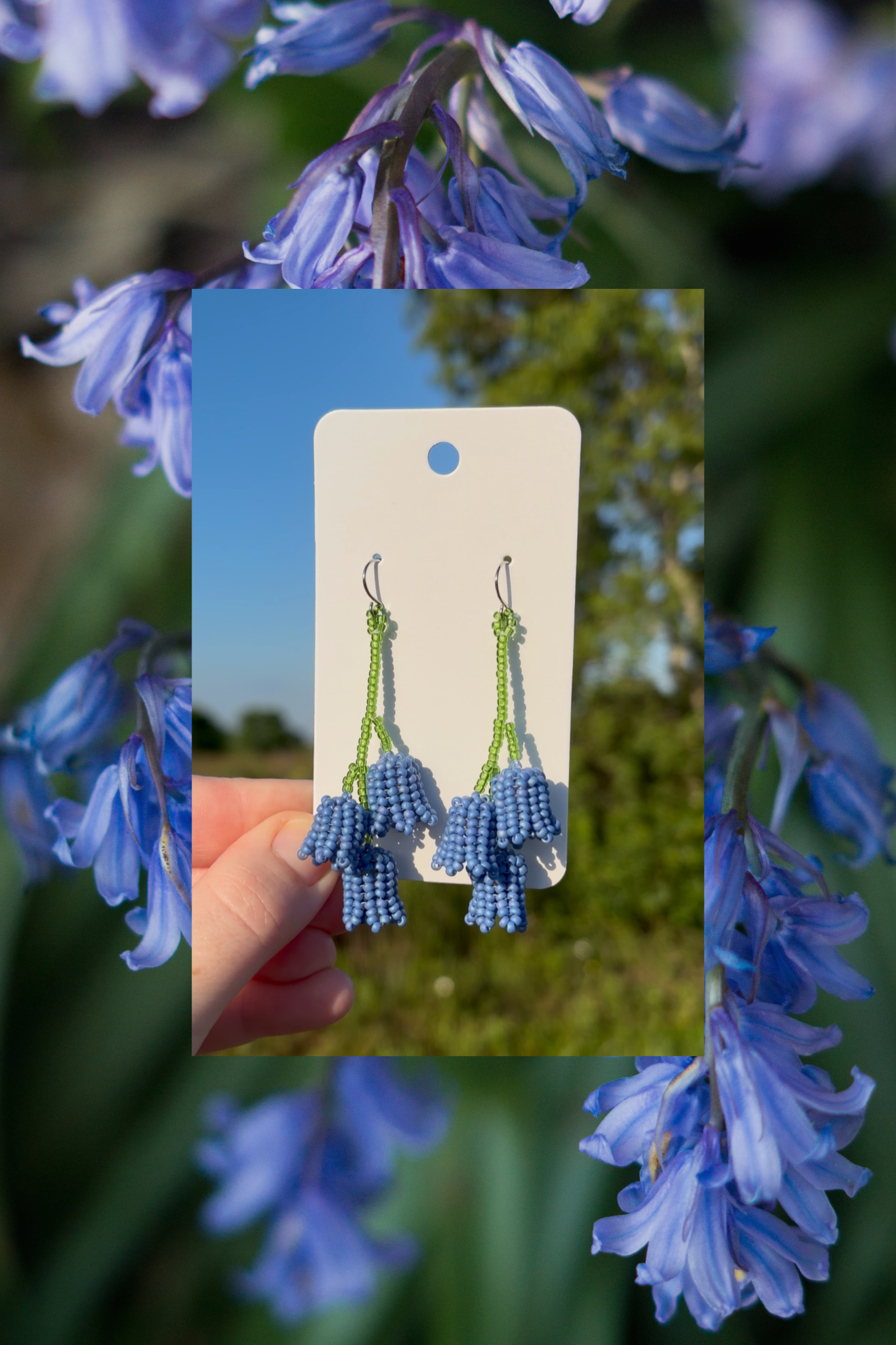 Bluebells