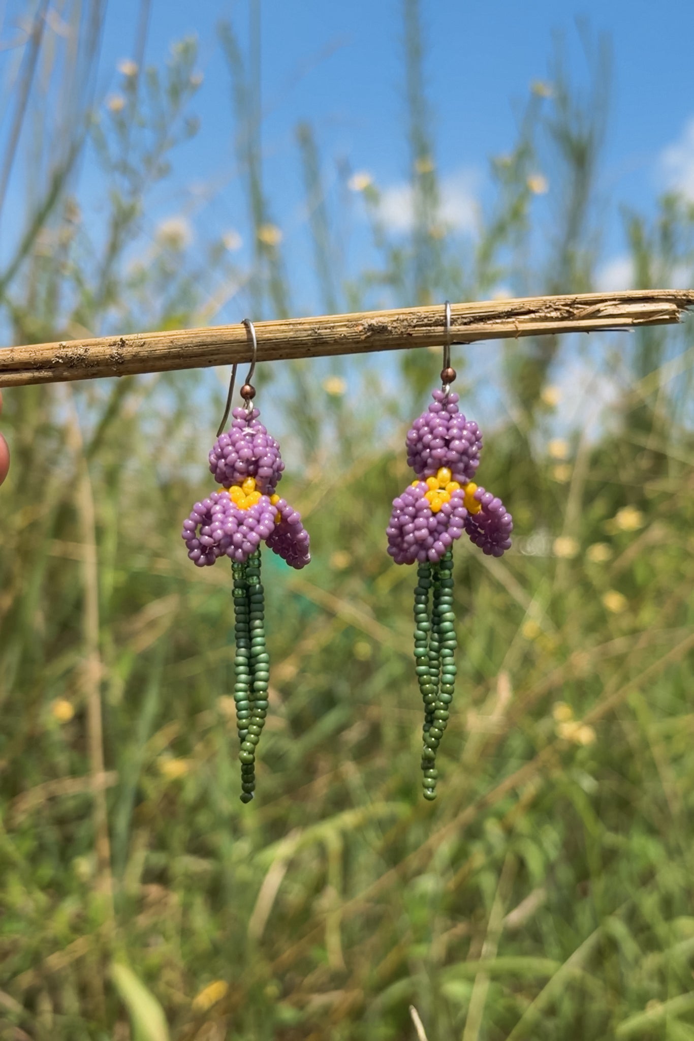 Purple iris stems