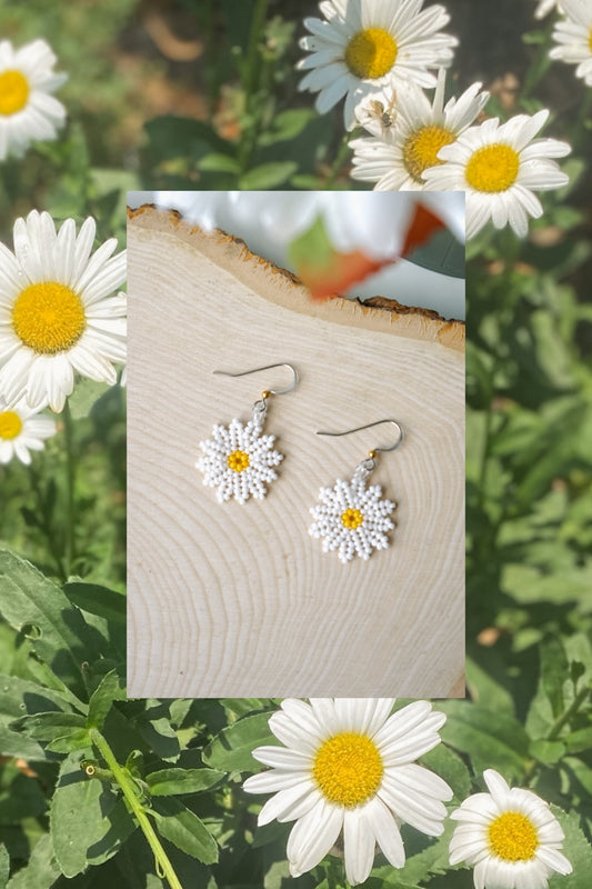 Mini daisies
