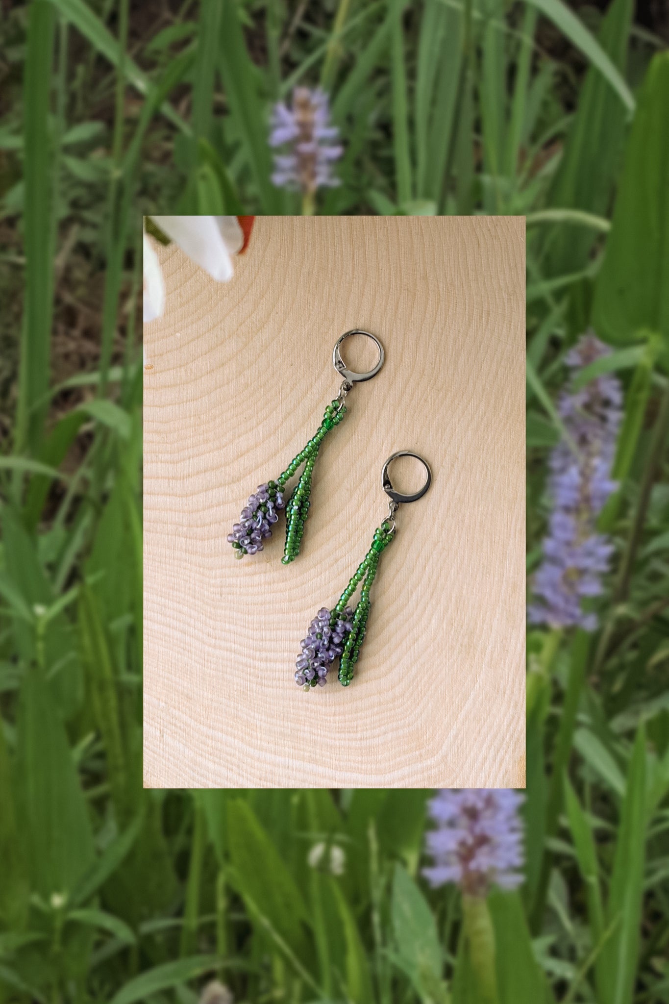 Pickerelweed blooms