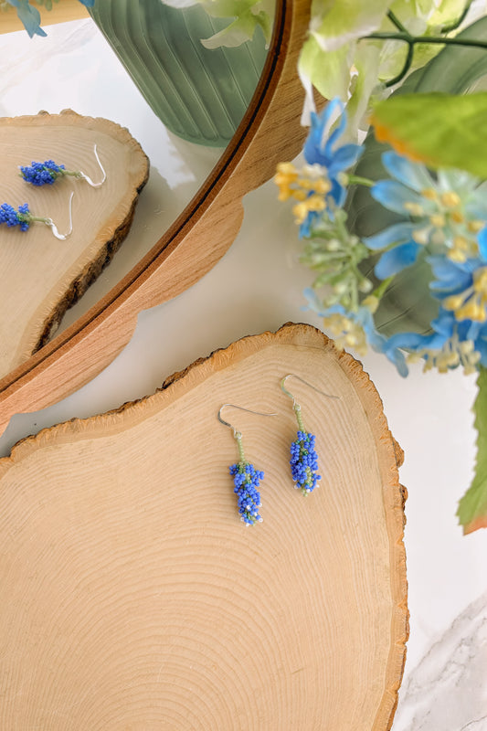 Texas bluebonnets