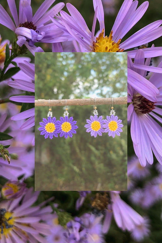 Asters