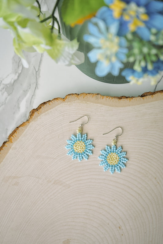 Baby blue daisies