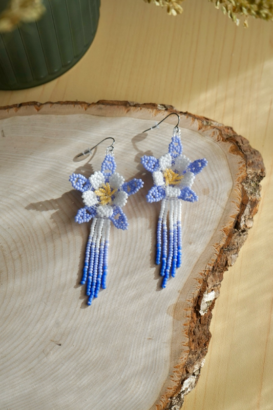 Blue columbine flowers