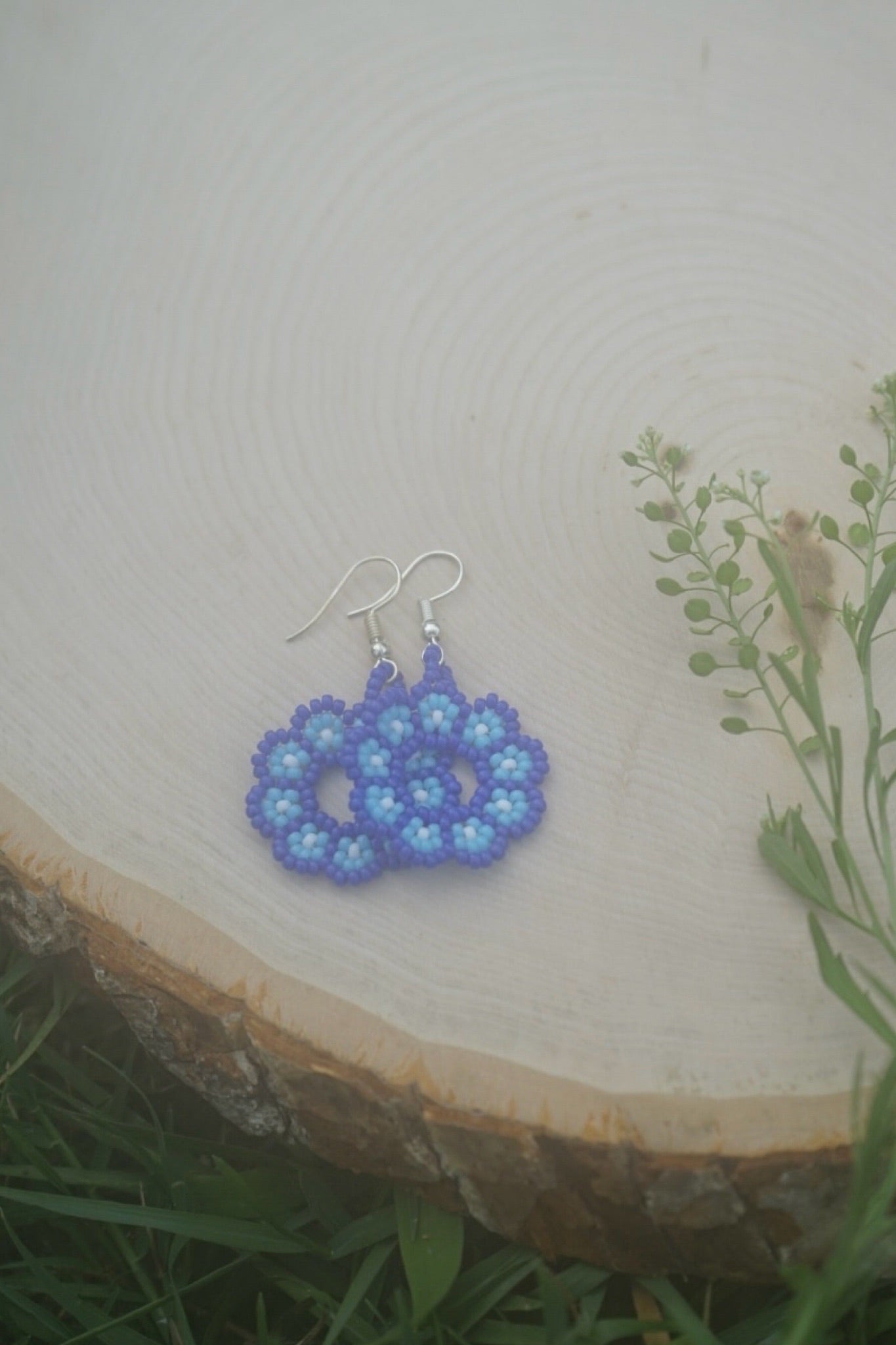 Bluebird daisy chain