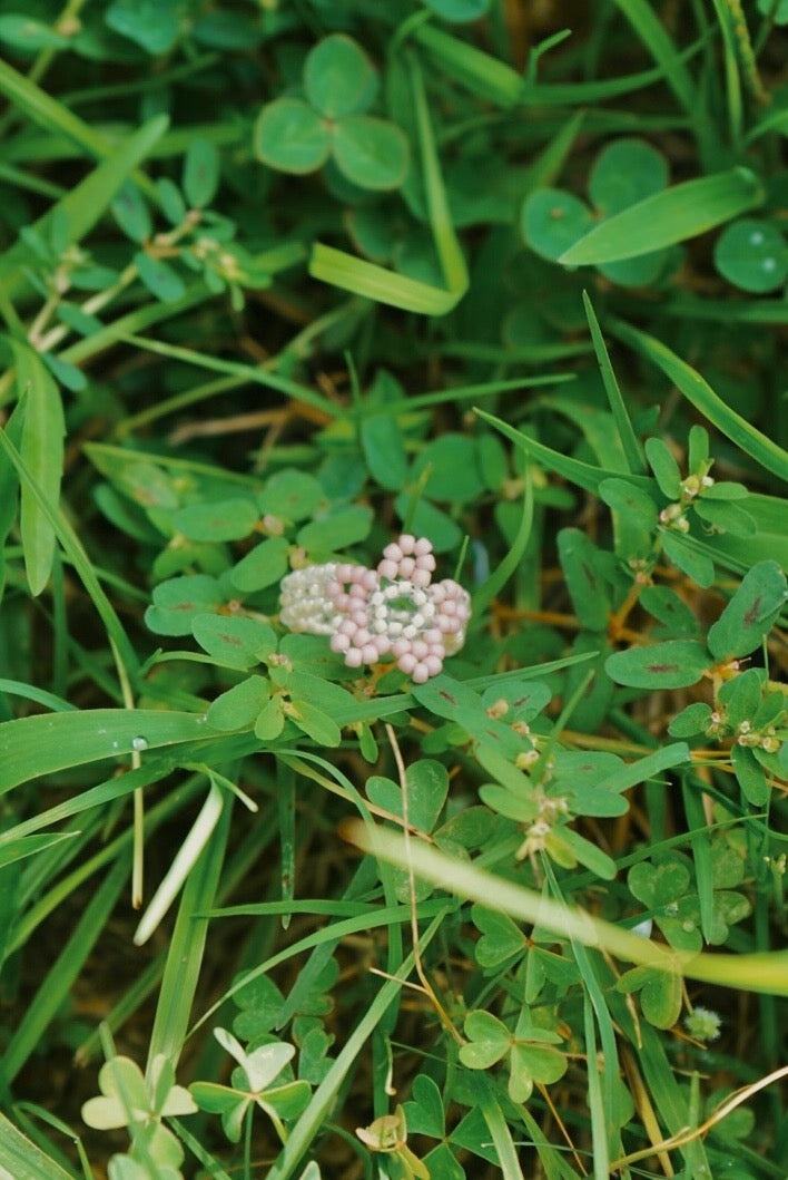 Blush cinque ring (7)