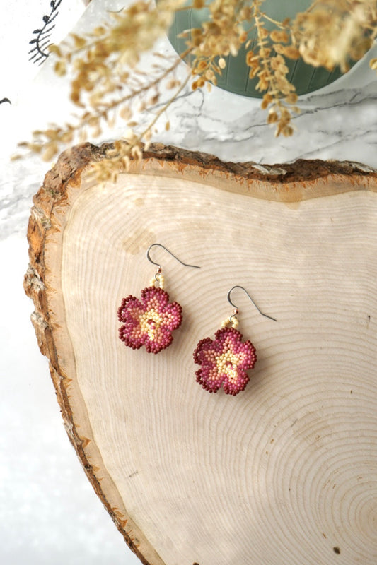 Burgundy and cream hibiscus blooms