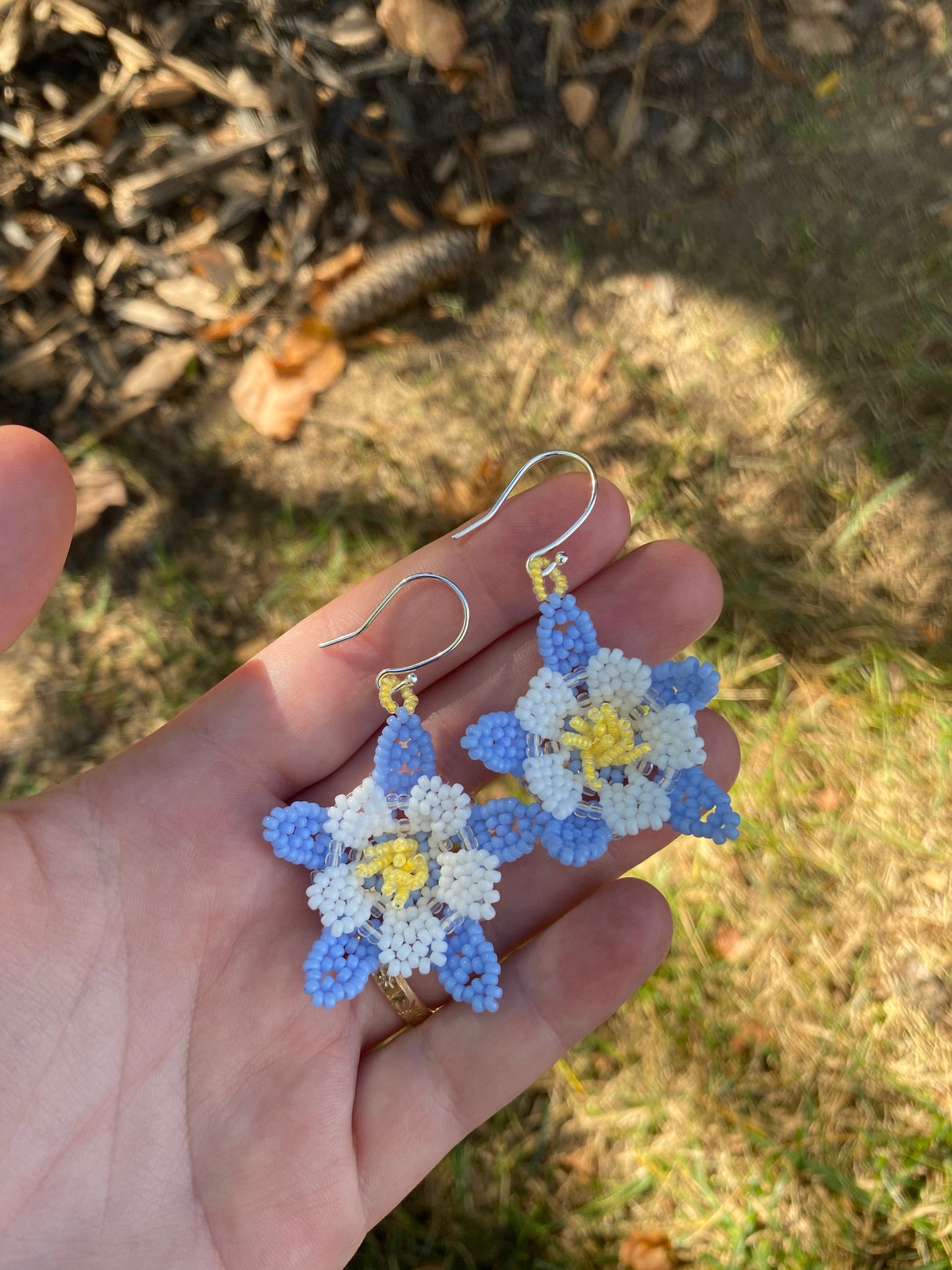 Columbine flowers