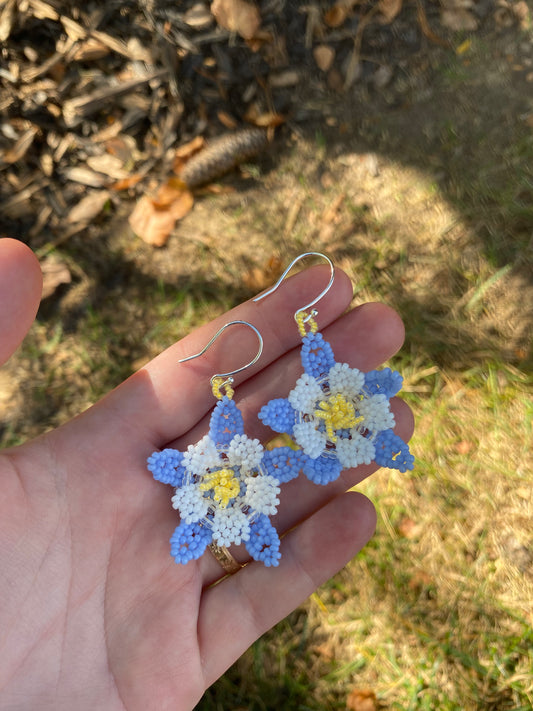 Columbine flowers