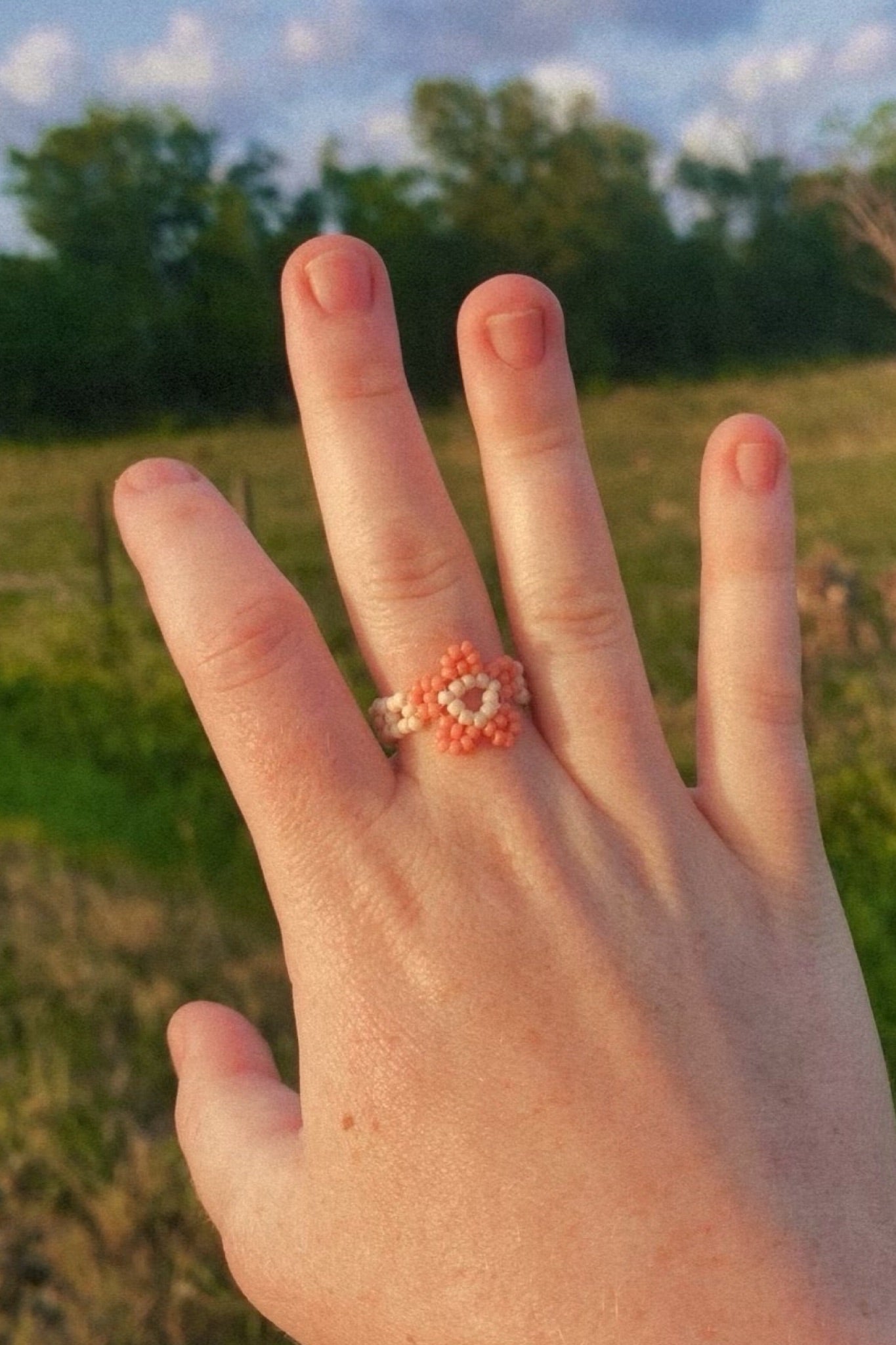 Coral cinque ring (9)
