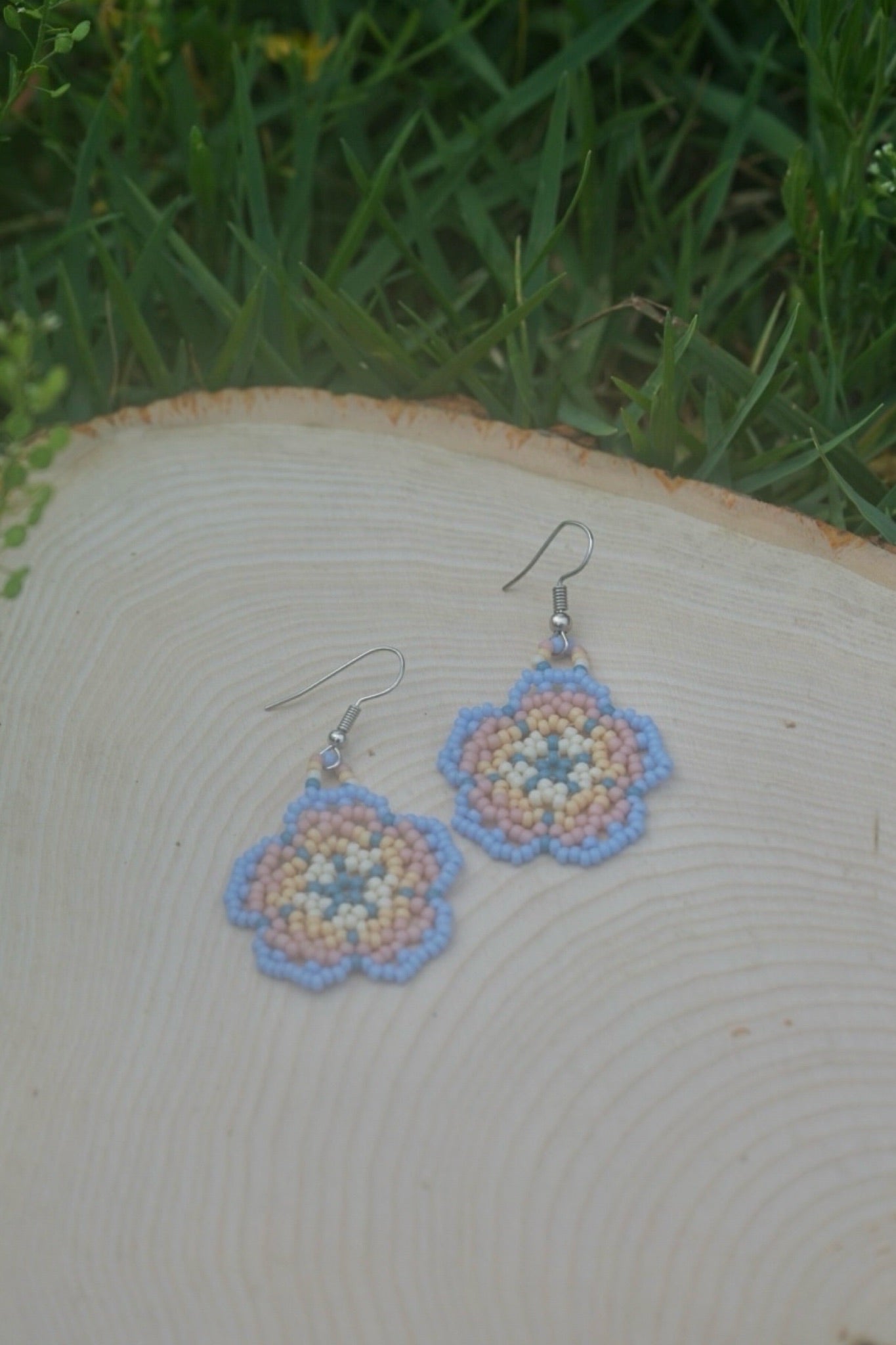 Country sunset blooms