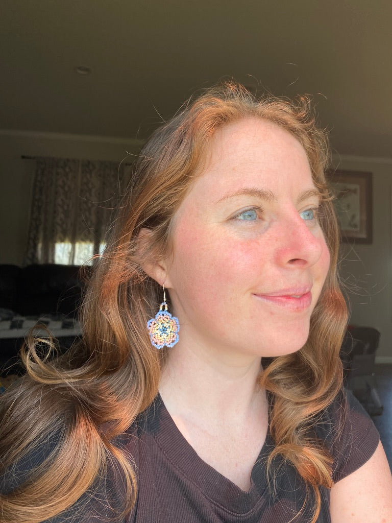 Country sunset blooms