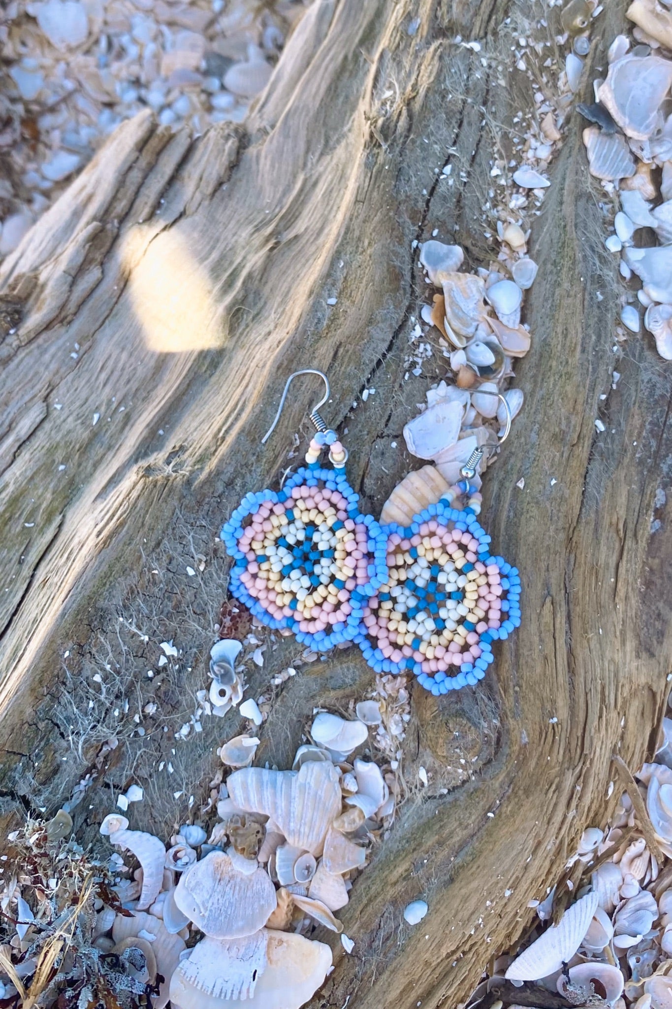 Country sunset blooms