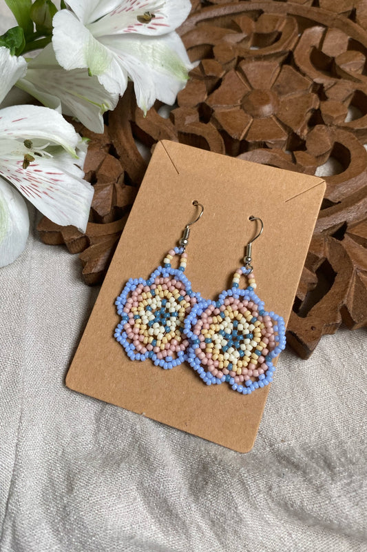 Country sunset blooms