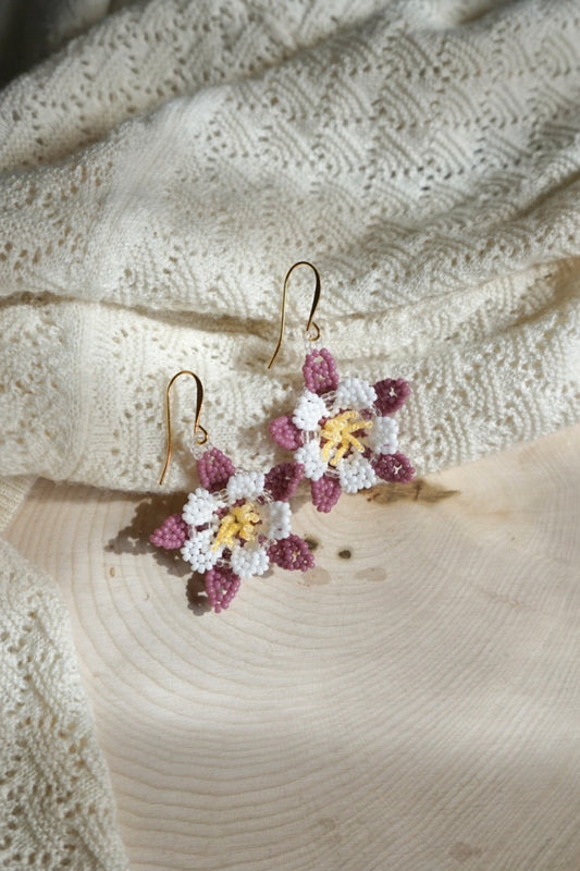 Dusty pink columbine flowers