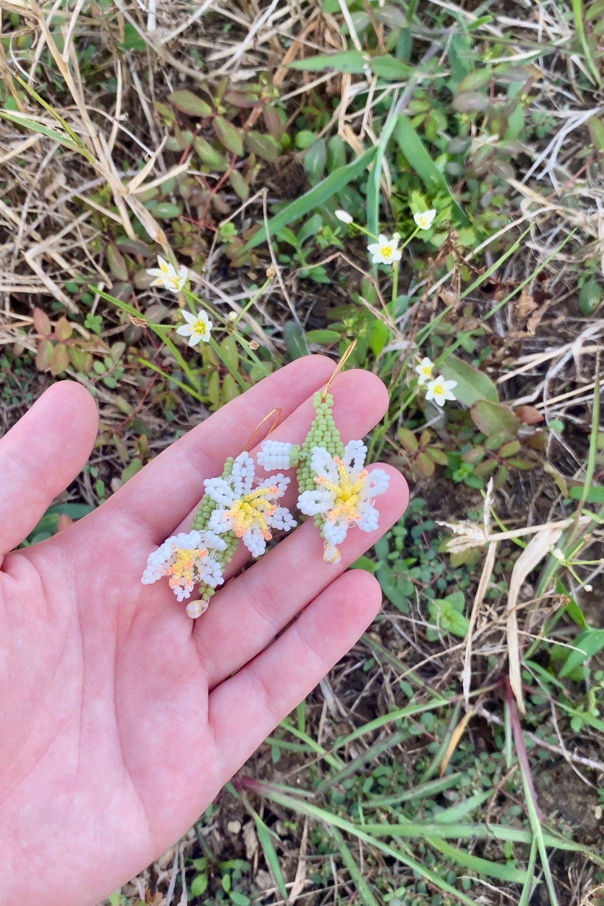 False garlic blossoms