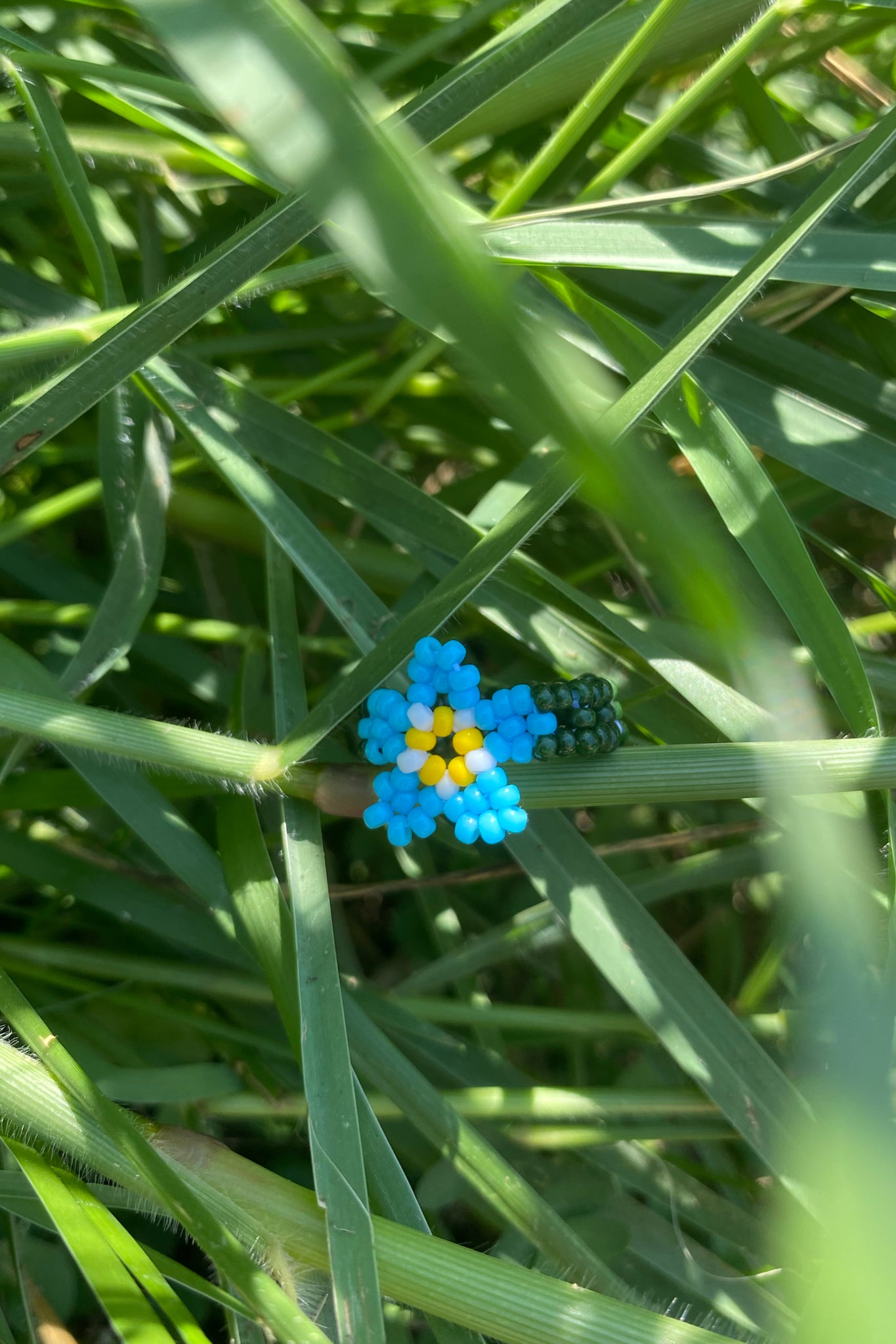 Forget-me-not ring (5.5) (olive band)