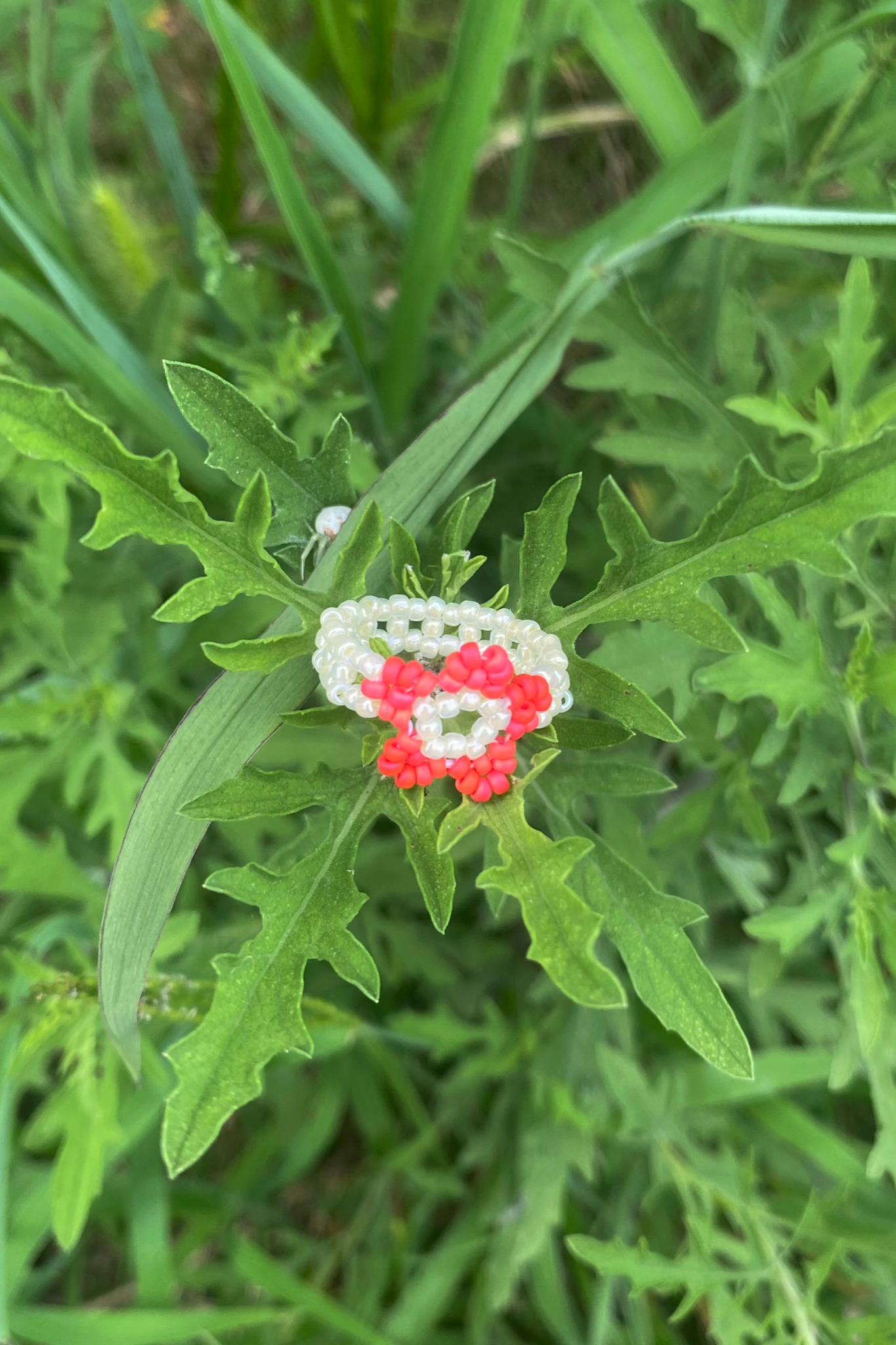 Fuchsia and pearl cinque ring (7)