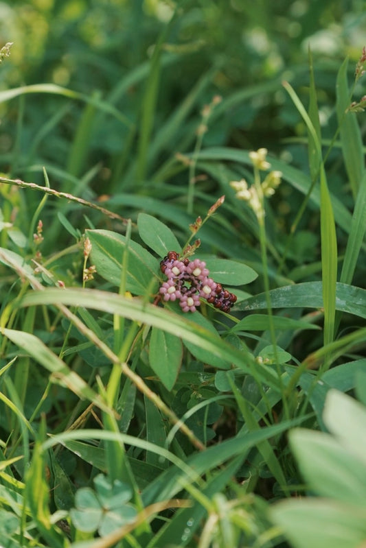 Garnet blossom cinque ring (7)