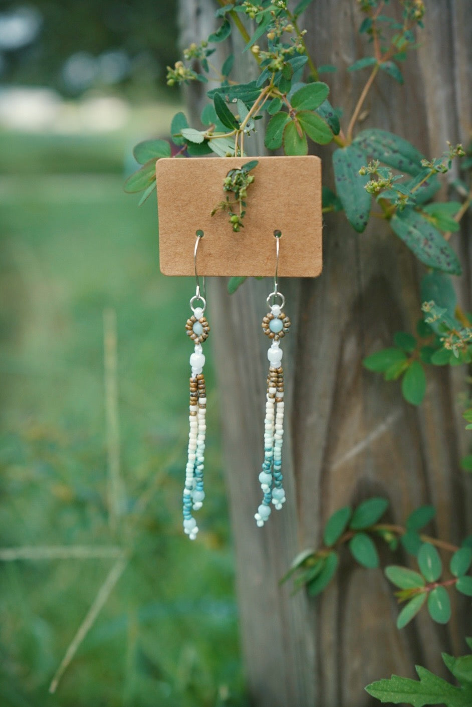 Hidden meadow daisy drops