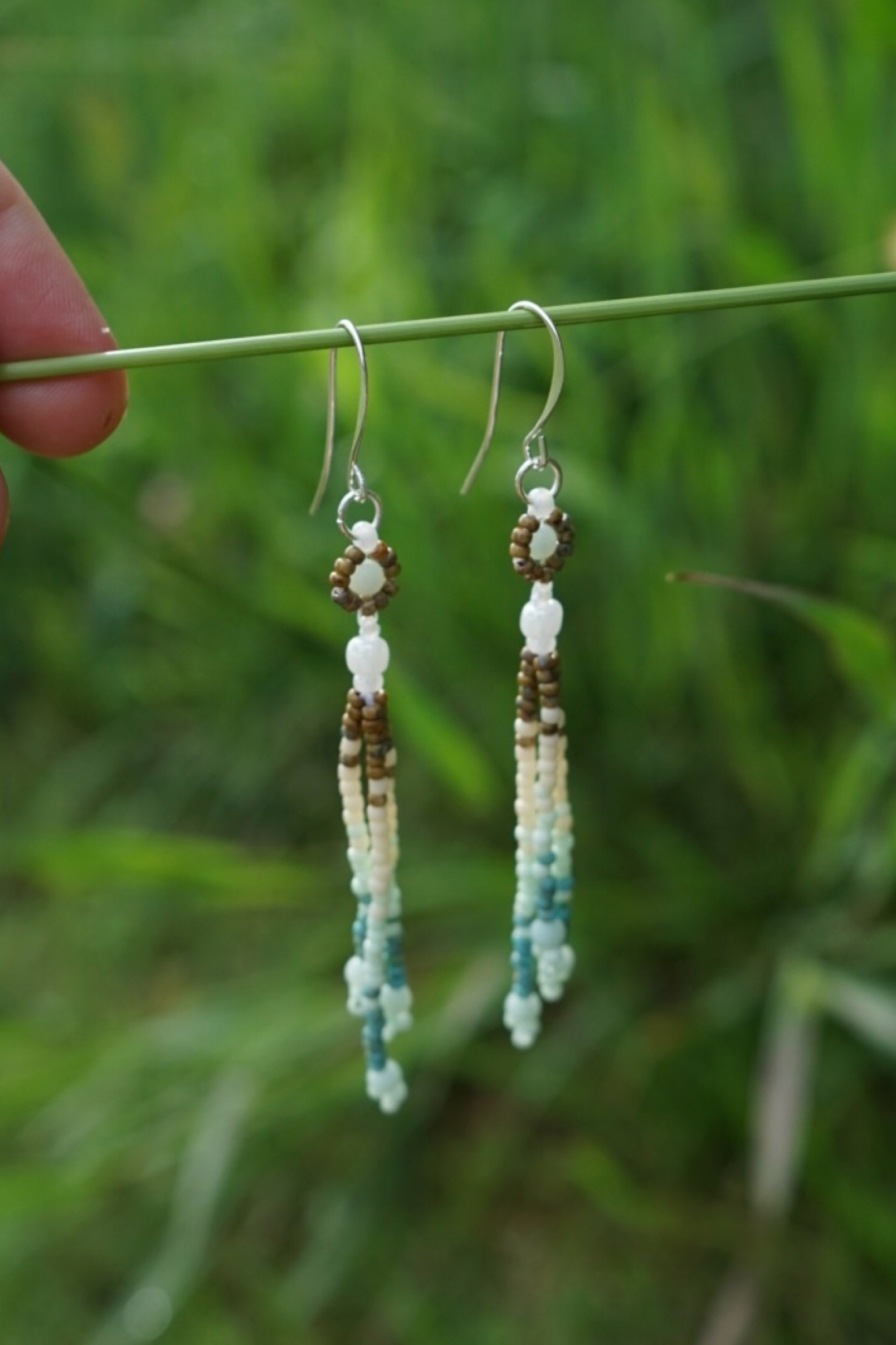 Hidden meadow daisy drops