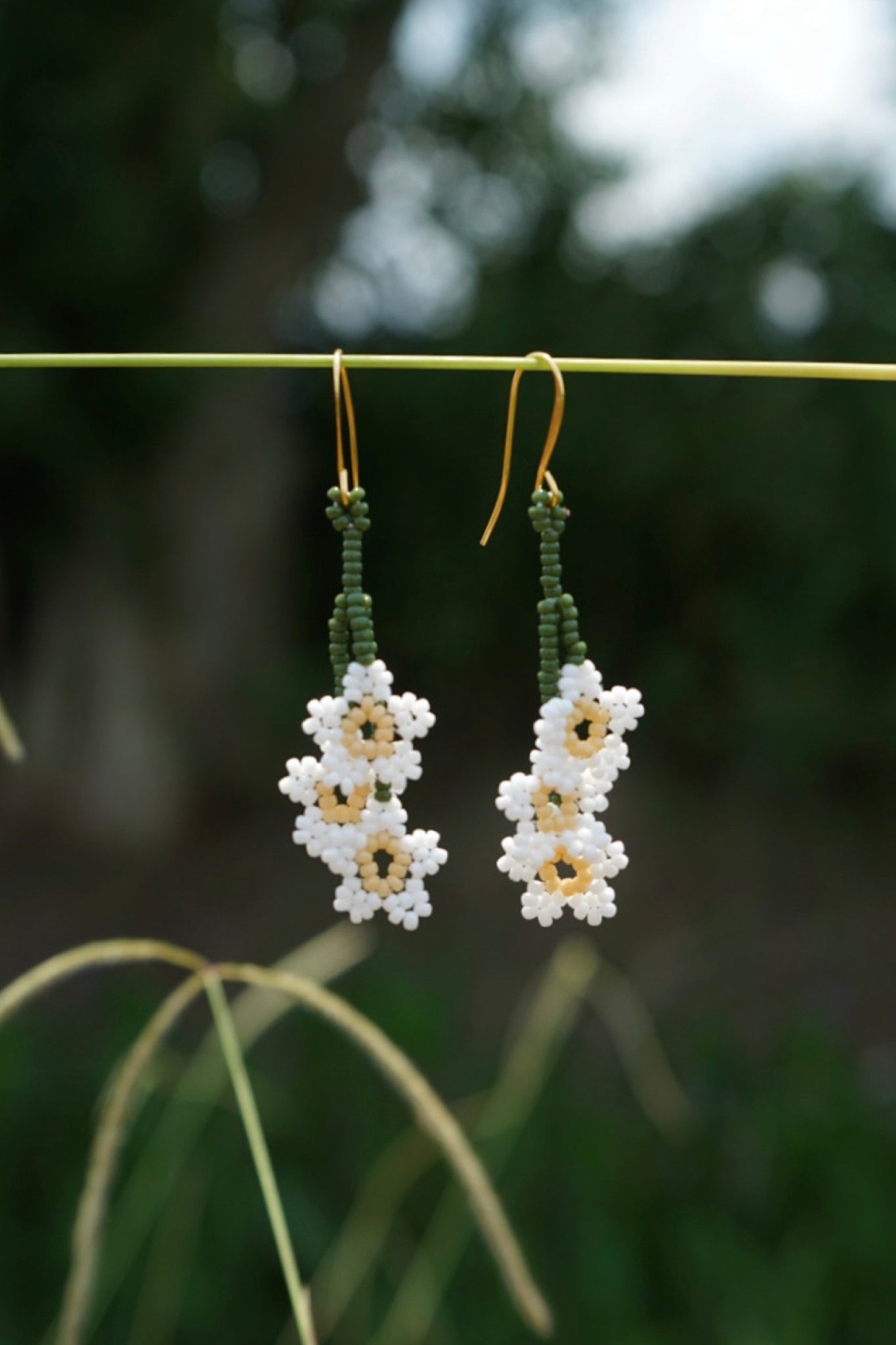 Honeysuckle clusters
