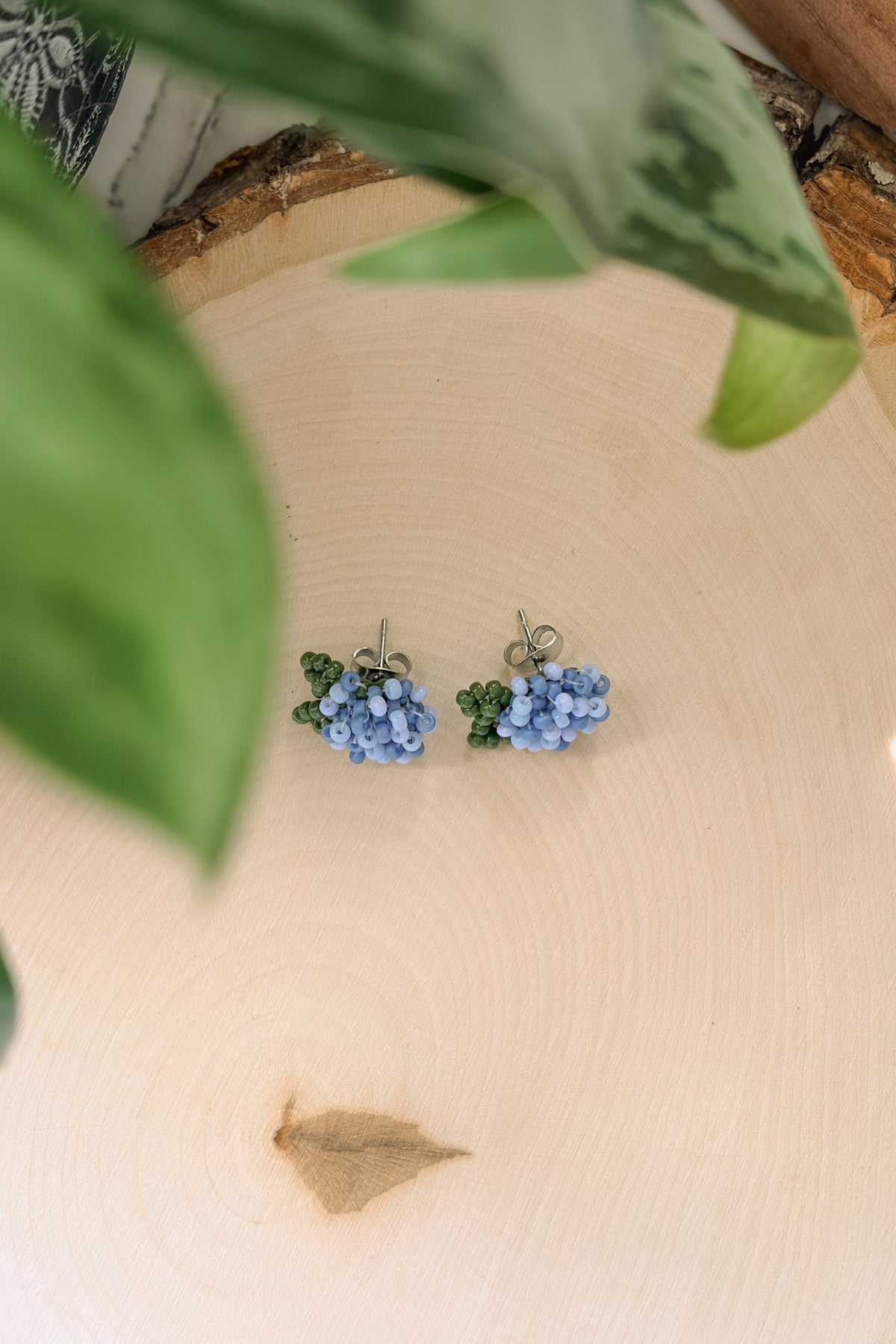 Blue hydrangea studs