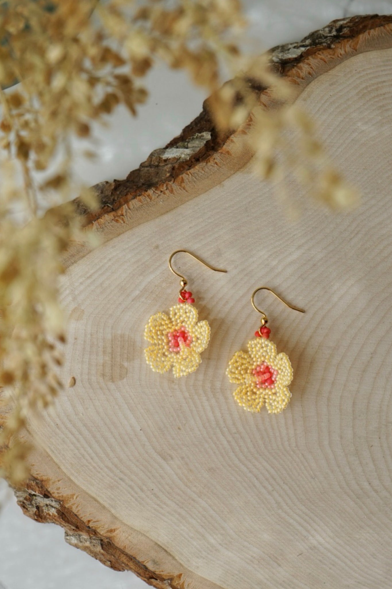 Yellow mini hibiscus blooms