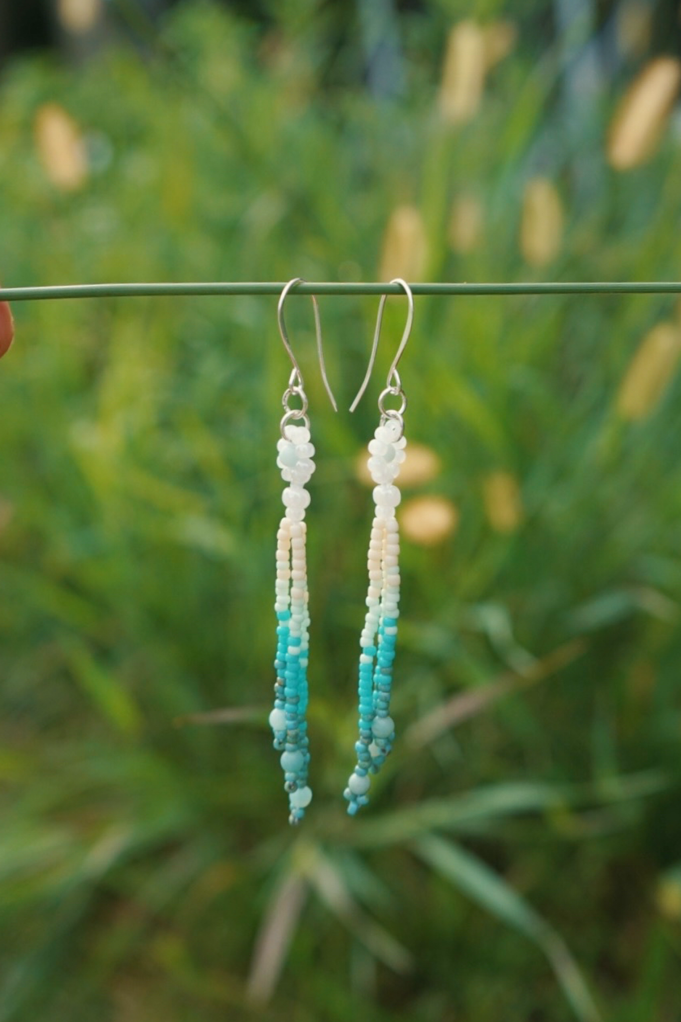 Mint dip daisy drops