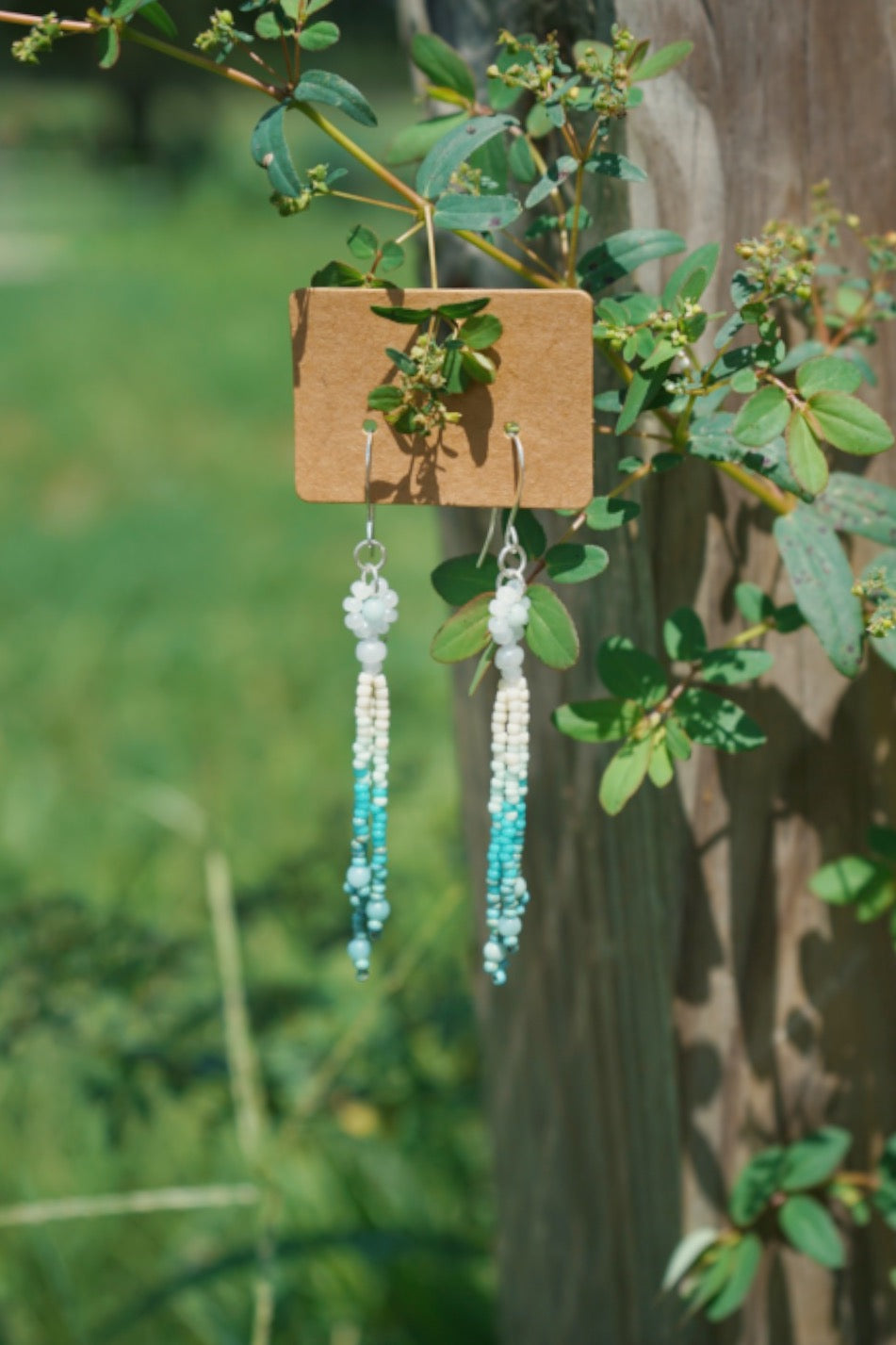 Mint dip daisy drops