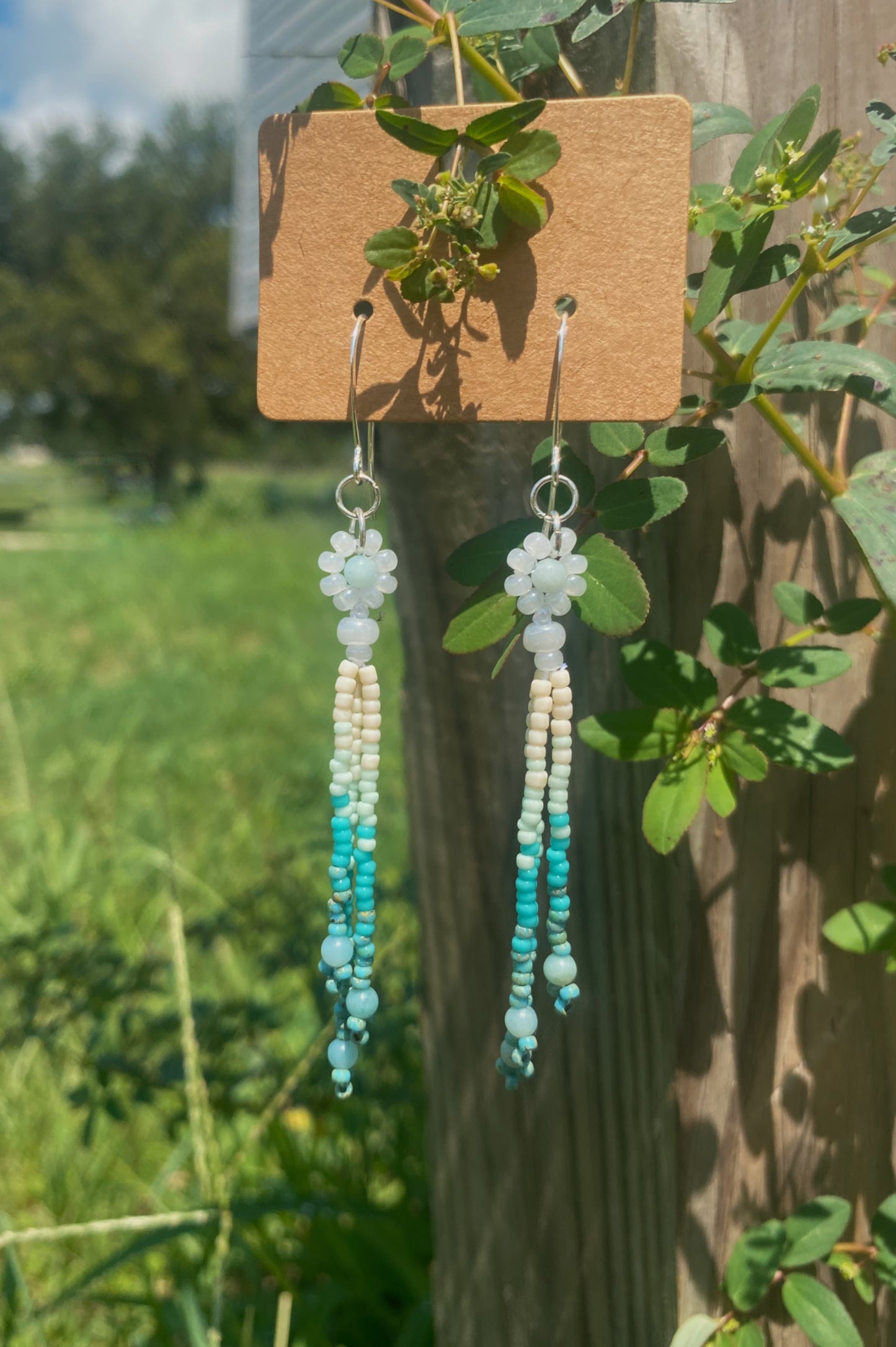 Mint dip daisy drops