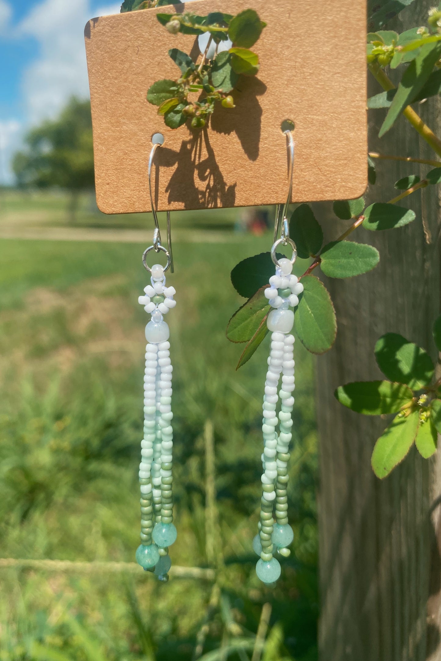 Morning dew daisy drops