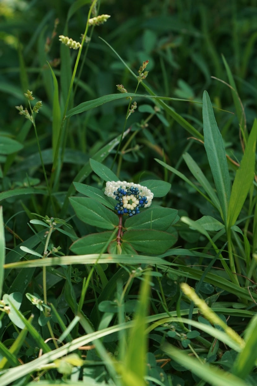 Mother Earth cinque ring (8)