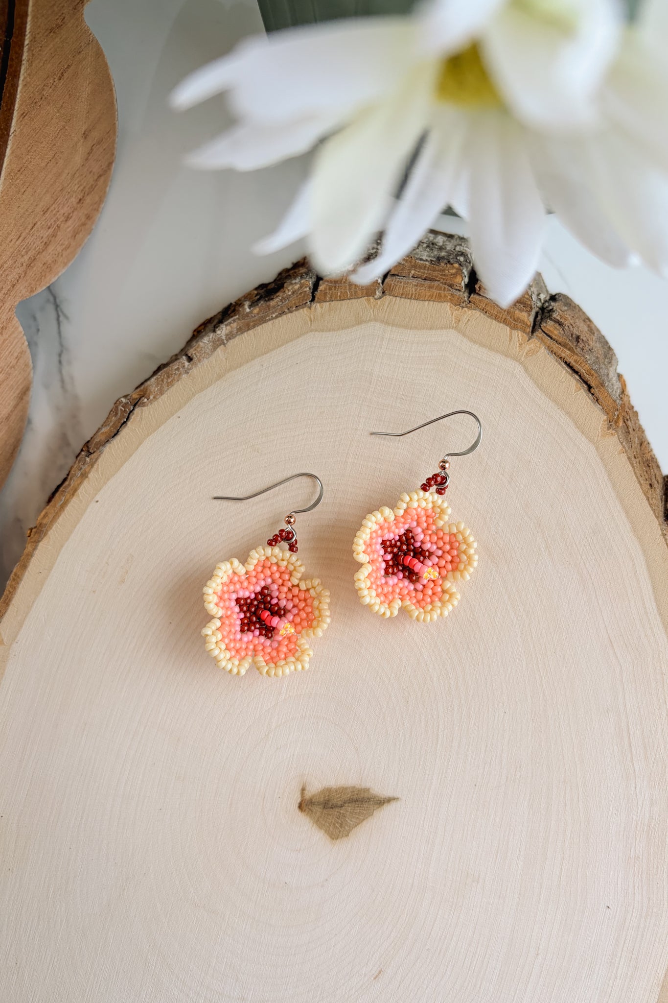 Peachy hibiscus blooms (A)
