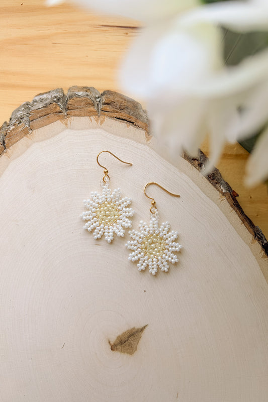 Pearl daisies