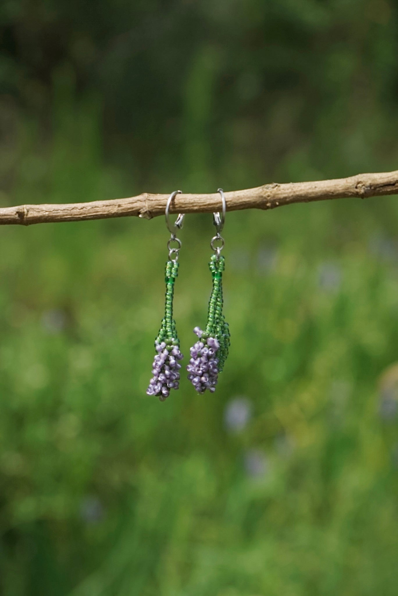 Pickerelweed blooms